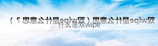 什么是双wipe