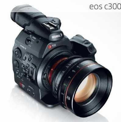 eos c300