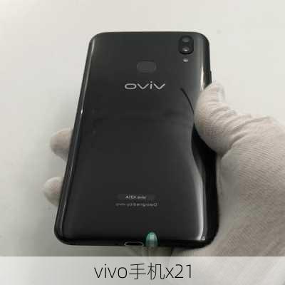 vivo手机x21