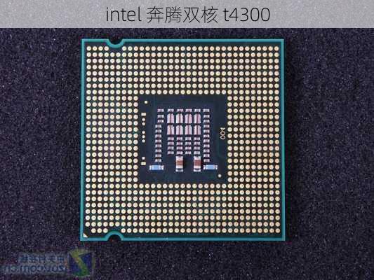 intel 奔腾双核 t4300