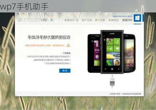 wp7手机助手