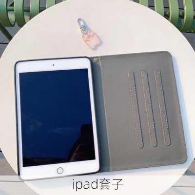 ipad套子