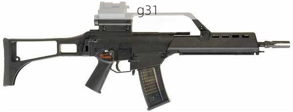 g31