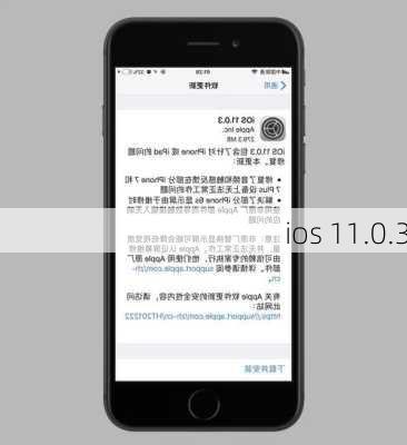 ios 11.0.3