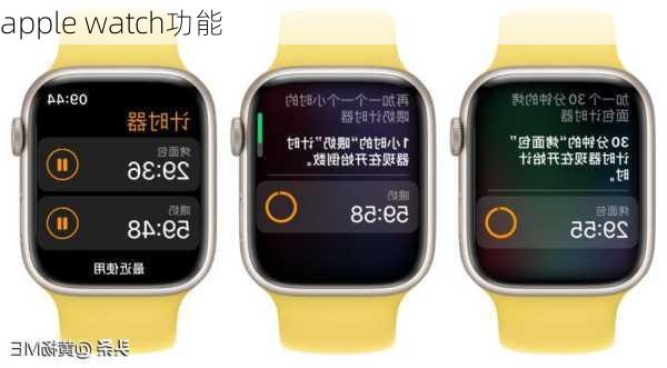 apple watch功能