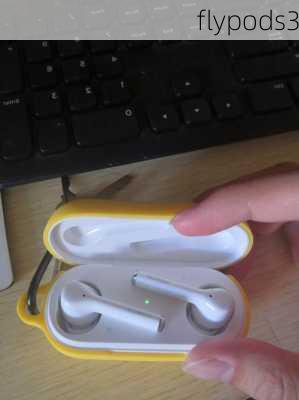 flypods3