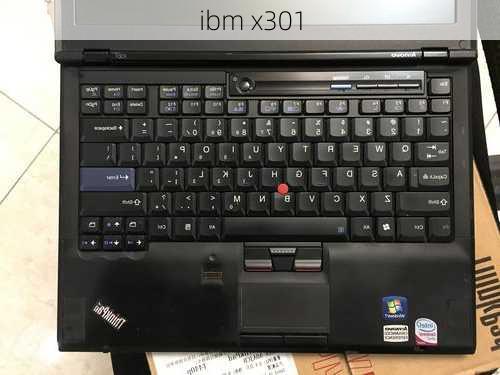 ibm x301