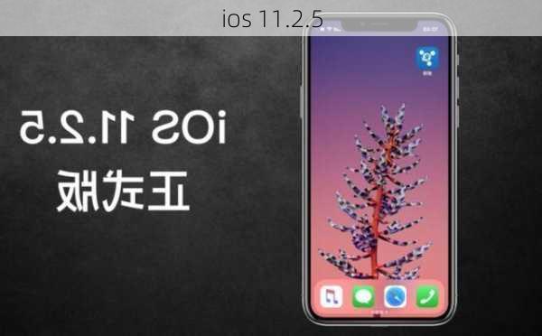 ios 11.2.5