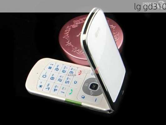 lg gd310