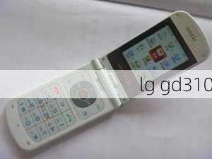 lg gd310