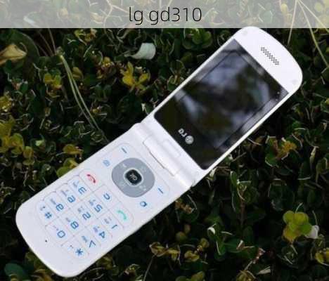 lg gd310