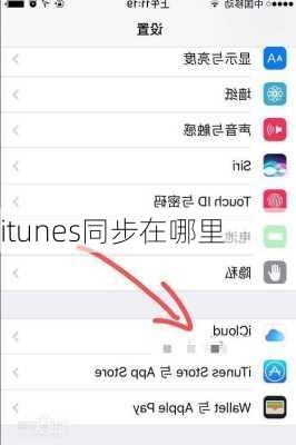 itunes同步在哪里