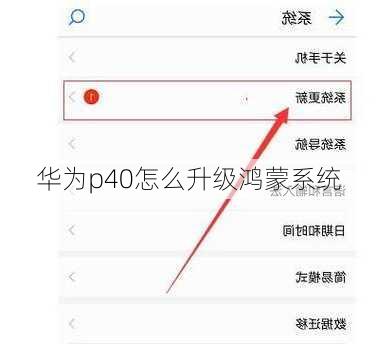 华为p40怎么升级鸿蒙系统