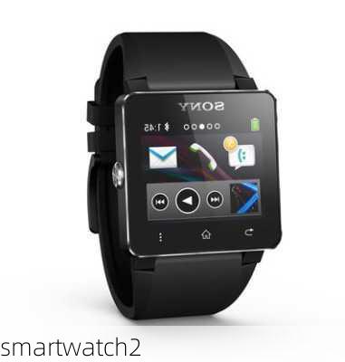 smartwatch2