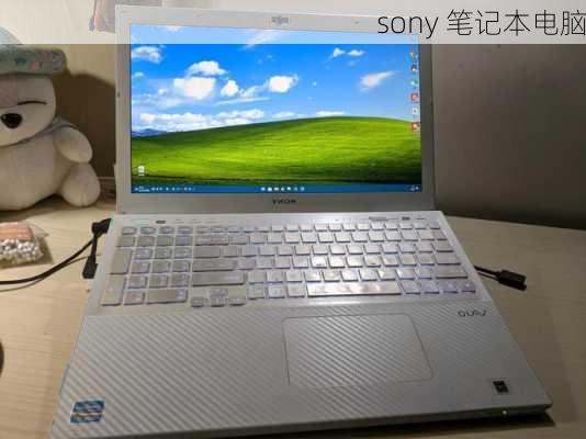 sony 笔记本电脑