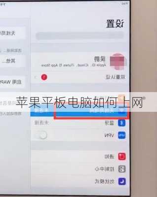 苹果平板电脑如何上网