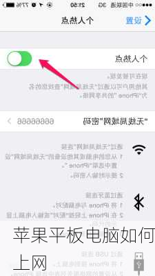 苹果平板电脑如何上网