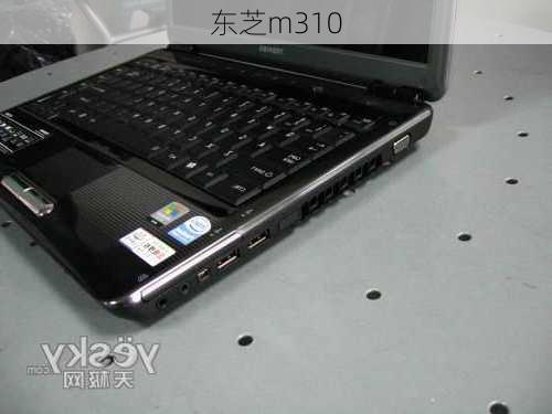 东芝m310