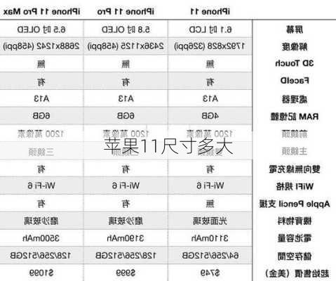 苹果11尺寸多大