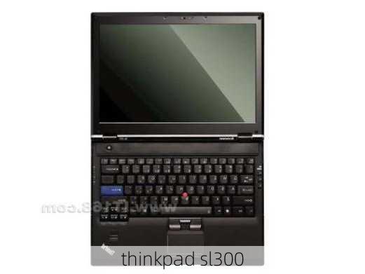 thinkpad sl300