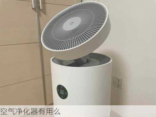 空气净化器有用么