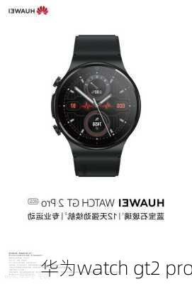 华为watch gt2 pro