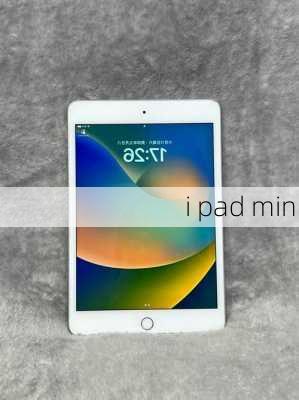 i pad mini