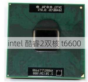 intel 酷睿2双核 t6600