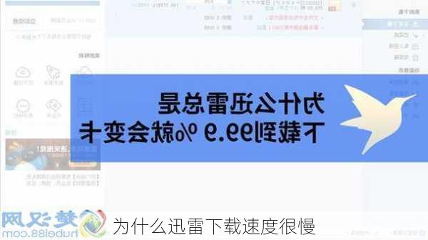 为什么迅雷下载速度很慢