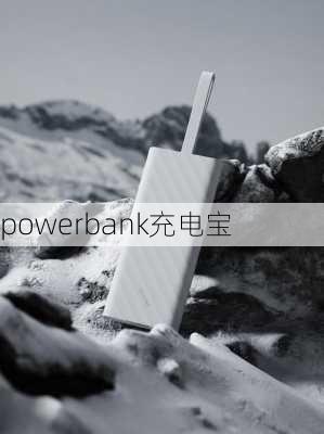 powerbank充电宝