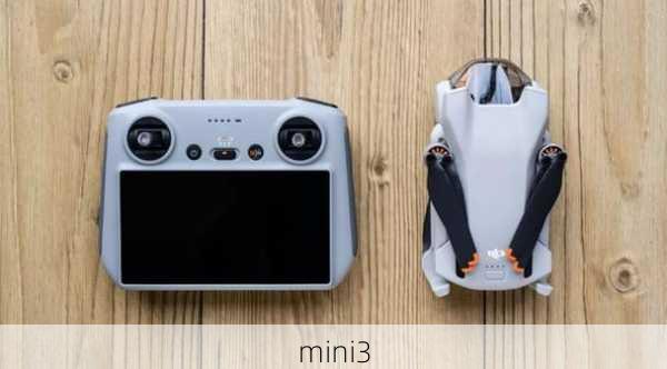 mini3