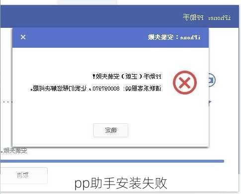 pp助手安装失败