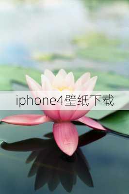 iphone4壁纸下载