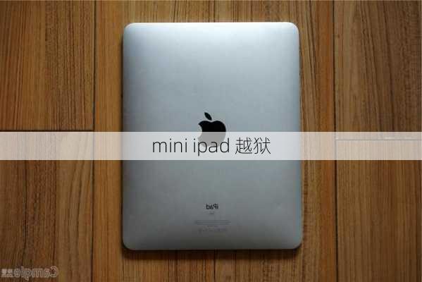 mini ipad 越狱