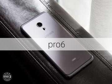 pro6