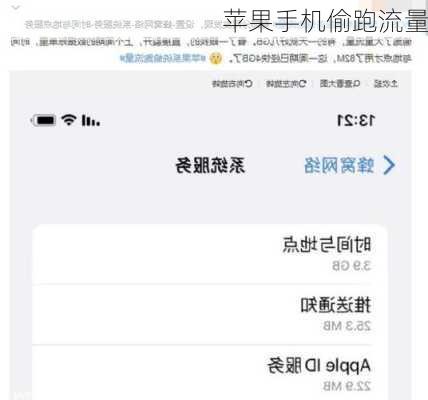 苹果手机偷跑流量