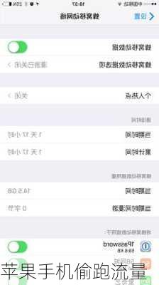 苹果手机偷跑流量