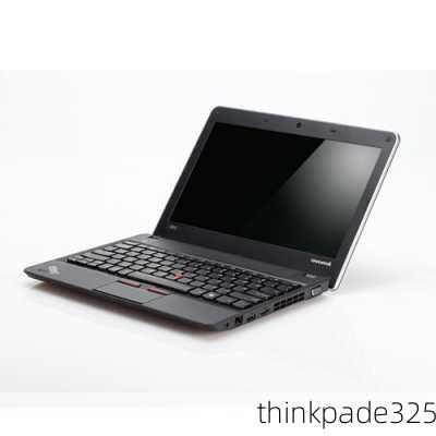 thinkpade325