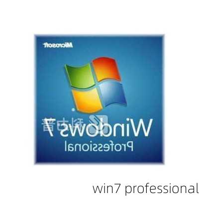 win7 professional