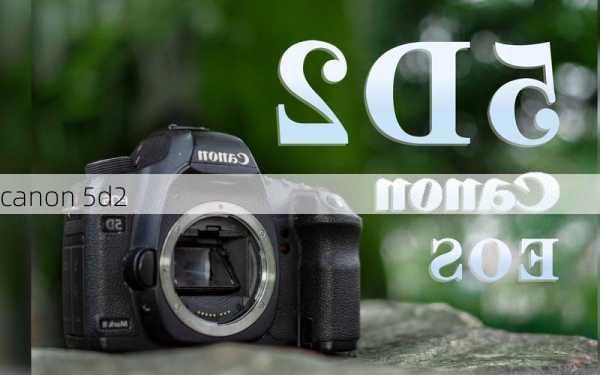 canon 5d2