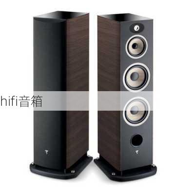 hifi音箱