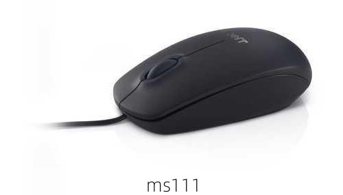 ms111