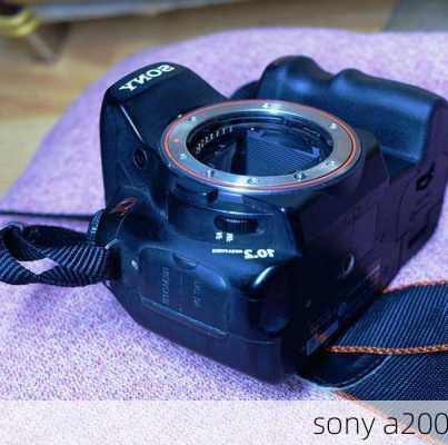 sony a200