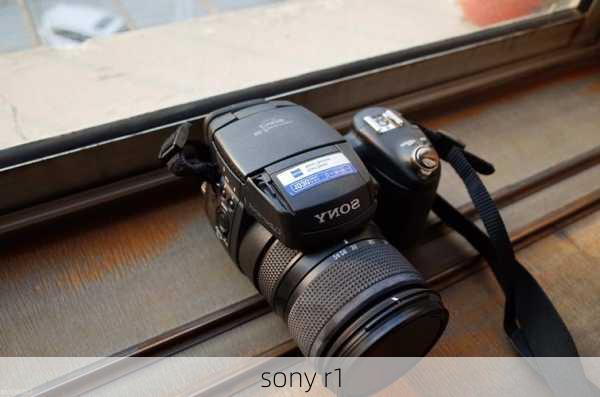 sony r1