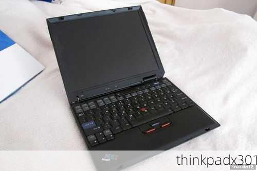 thinkpadx301