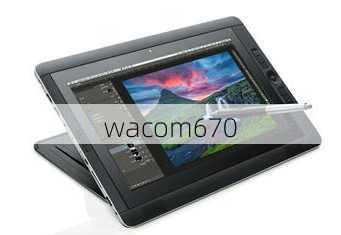 wacom670