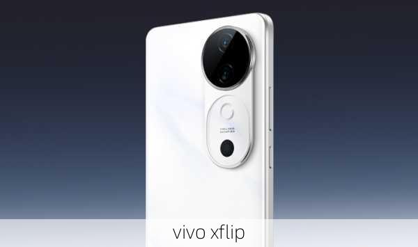 vivo xflip