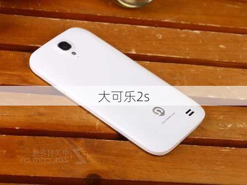 大可乐2s