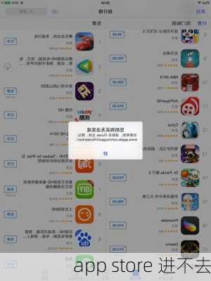 app store 进不去