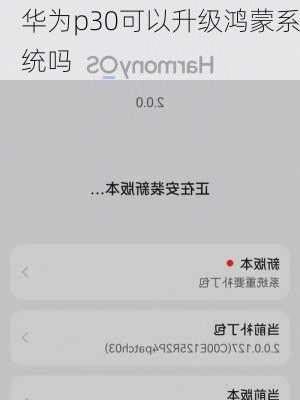 华为p30可以升级鸿蒙系统吗